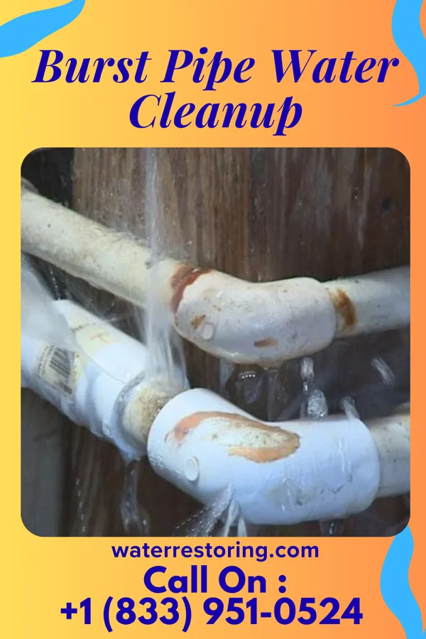 Burst Pipe Water Cleanup in Drum Point, MD