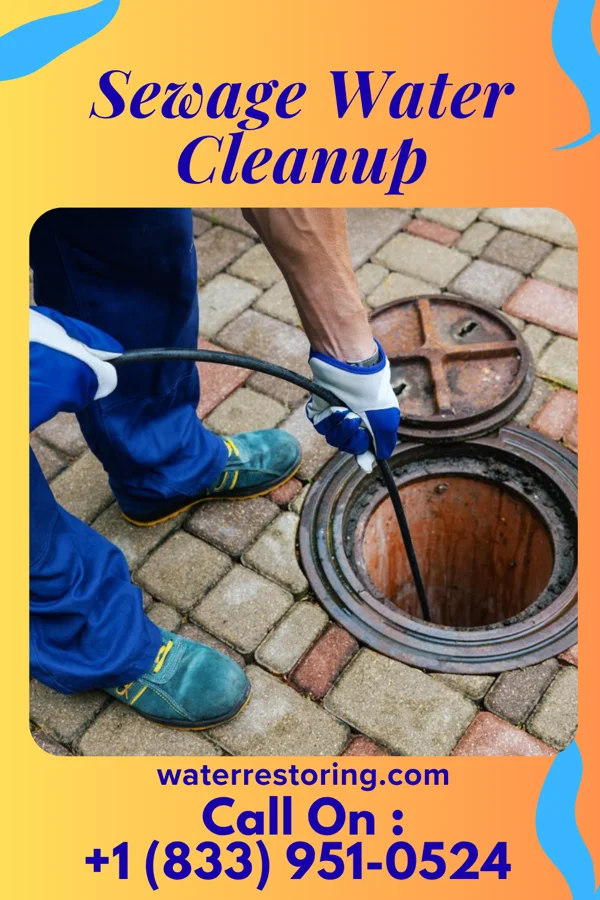 Sewage Water Cleanup in Drum Point, MD